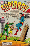 Superboy, Vol. 1 Ma And Pa Kent's Incredible Delusion |  Issue