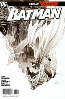 Batman, Vol. 1 Batman: Reborn - Long Shadows, Part 2: New Day, New Knight |  Issue