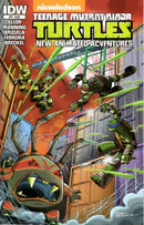 Teenage Mutant Ninja Turtles New Animated Adventures  |  Issue