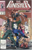 The Punisher, Vol. 2 Bad Tip |  Issue