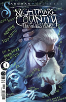 The Sandman Universe: Nightmare Country - The Glass House  |  Issue