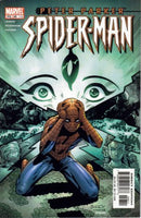 Peter Parker: Spider-Man The Big Question |  Issue