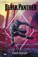 Marvel Action: Black Panther TP Stormy Weather |  Issue