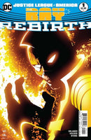 Justice League Of America: The Ray Rebirth  |  Issue