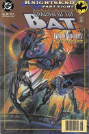 Batman: Shadow of the Bat KnightsEnd - Part 8: Wild Knights: Wild City |  Issue