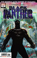Black Panther, Vol. 7 Intergalactic Empire of Wakanda, Book 1: Many Thousands Gone |  Issue