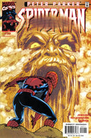 Peter Parker: Spider-Man Days Of Our Lives |  Issue