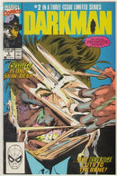 Darkman, Vol. 1  |  Issue