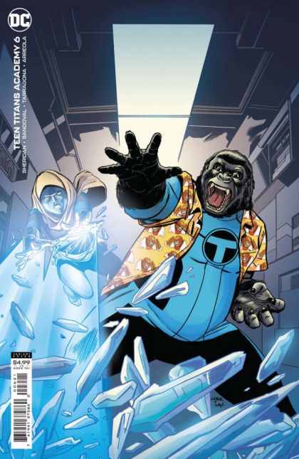 Teen Titans Academy Summer Break! |  Issue#6B | Year:2021 | Series:  | Pub: DC Comics | Steve Lieber Card Stock Variant