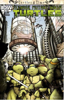 Teenage Mutant Ninja Turtles: Turtles In Time  |  Issue
