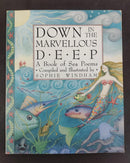 Paperback Picture Story Books for Children in Pre Loved Condition