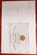 Signed Comic with Certificate of Authenticity|I make boys cry |