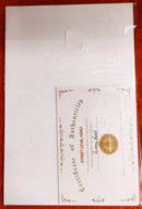 Signed Comic with Certificate of Authenticity|I make boys cry |