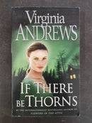 Paperback Novel in Used Good Condition