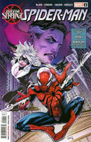 The Death of Doctor Strange: Spider Man The Death of Doctor Strange  |  Issue