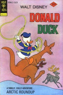 Donald Duck Arctic Roundup |  Issue