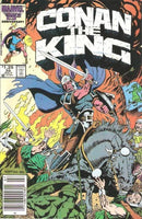 King Conan / Conan the King The Ravaged Land |  Issue