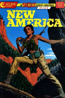 New America Baja, Japan |  Issue