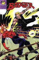 Badger, Vol. 1 Grand Master |  Issue