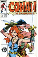 Conan the Barbarian, Vol. 1 Stand |  Issue
