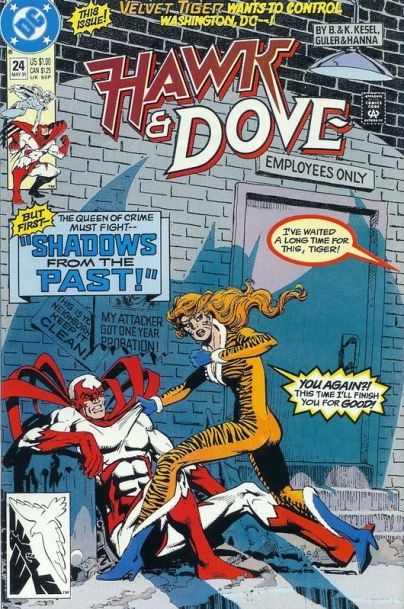 Hawk & Dove, Vol. 3 The Flame That Burns Twice As Bright! |  Issue#24A | Year:1991 | Series: Teen Titans | Pub: DC Comics