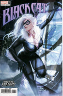Black Cat, Vol. 1 Holiest of Holies, Part 2 |  Issue