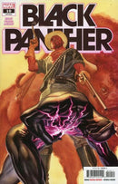 Black Panther, Vol. 8 Range Wars, Book Two |  Issue