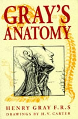 Gray's Anatomy by Gray, Henry | Paperback |  Subject: Anatomy | Item Code:5055