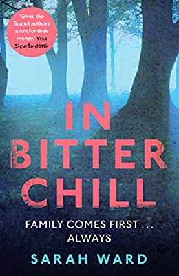In Bitter Chill (DC Childs Mystery)