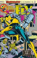 The Fly (Impact Comics) Homecoming |  Issue