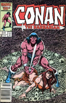 Conan the Barbarian, Vol. 1 Resurrection |  Issue
