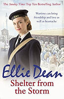 Shelter from the Storm (The Cliffehaven Series)