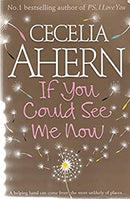 If You Could See Me Now by Ahern, Cecelia | Paperback |  Subject: Contemporary Fiction | Item Code:R1|H6|3278