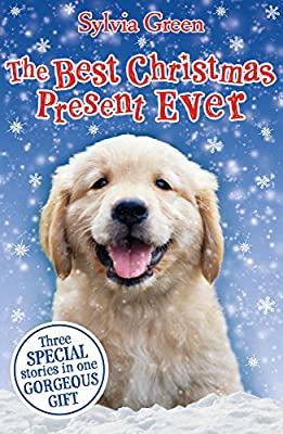 The Best Christmas Present Ever by Green, Sylvia | Paperback |  Subject: Action & Adventure | Item Code:R1|I3|3619