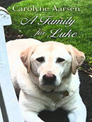 A Family for Luke (Thorndike Press Large Print Christian Romance Series) by Aarsen, Carolyne | Hardcover |  Subject: Religious & Spiritual Fiction | Item Code:HB/171