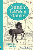 Sandy Lane Stables: Horse in Danger (Young Reading Plus) by Bates, Michelle | Hardcover |  Subject: Literature & Fiction | Item Code:CH | 146