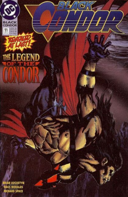 Black Condor The Legend Of The Black Condor |  Issue#11 | Year:1993 | Series: JSA |