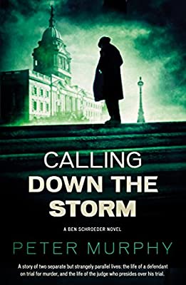 Calling Down The Storm: The Fifth Ben Schroeder Legal Thriller: 5