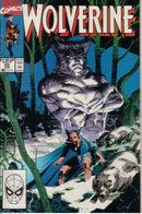Wolverine, Vol. 2 Heir Aid |  Issue