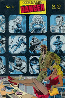 Codename: Danger Double or Nothing |  Issue