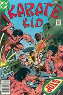 Karate Kid Disasters Of Yesteryear |  Issue