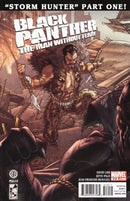 Black Panther: The Man Without Fear Storm Hunter, Part One |  Issue