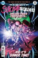 Suicide Squad, Vol. 4 The Secret History of Task Force X, Part Four / King For A Day |  Issue