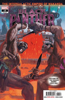 Black Panther, Vol. 7 The Intergalactic Empire Of Wakanda, Two Thousand Seasons |  Issue