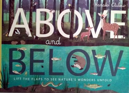 Above and below by Patricia Hegarty | Pub:Kane Miller/ EDC Publishing | Pages: | Condition:Good | Cover:PAPERBACK