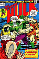 The Incredible Hulk  |  Issue