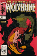 Wolverine, Vol. 2 The Lazarus Project, Part 4: Family Matters |  Issue