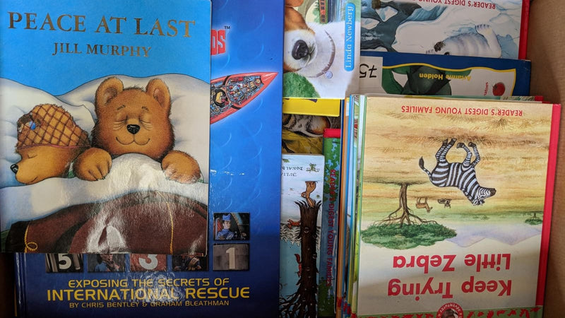 Wholesale Bulk Assorted Pre Loved Kids Books | Imported from UK | Mix of Picture, Board, Touch Feel, and Many More Books