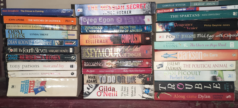 Mixed Lot of General Fiction for Adults | Lot of 30 Books