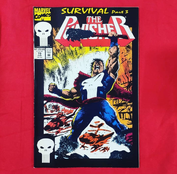 The Punisher | DC & Marvel Original Comics from USA | Condition: Very Good